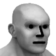 sstvNPC