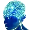 bigbrain