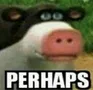 Perhaps