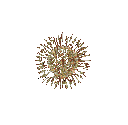 fireworks Discord emoji