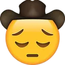 sadcowbo