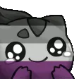 acebulba