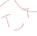 AviCoochie