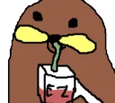sipp