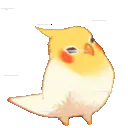 birdwind