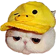 sadcat Discord Emoji
