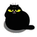 oOBlackCat