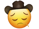 sad_yee_haw