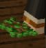 oak_hand