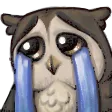 OwlCry