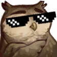 OwlSmug