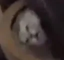 pain