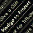 PledgeToProtect Discord Emoji