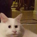 flurp