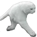 whenyouwalking