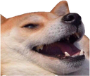 moon_Shakal Discord emoji