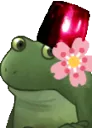 alarmfrogeflowie