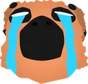 CryingBoi CryingBoi