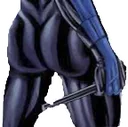 nightwingass