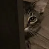 ApolloPeek