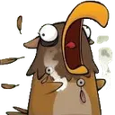 Squawk