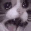 AAAAAAA AAAAAAA