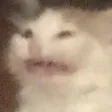 negaW