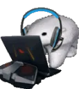 BearOppressed