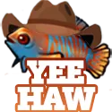 yeehawfish