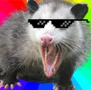awesomepossum awesomepossum