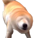 Drill_Boye