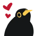 birdfeels