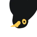 birdyikes