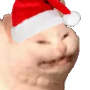 XLemons XLemons