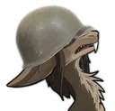 helmetkass