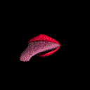 lick