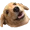 Wowee