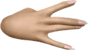 gang