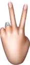 peacesign