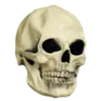 bones