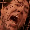BEES