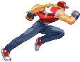 terryrun
