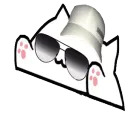 akbongoops