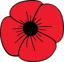 poppy
