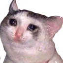 cryingcat