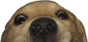 peeky