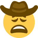 cowboyweary
