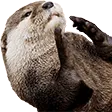 tcclap