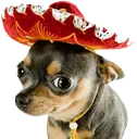 que_smol