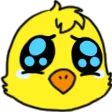 chicapollo
